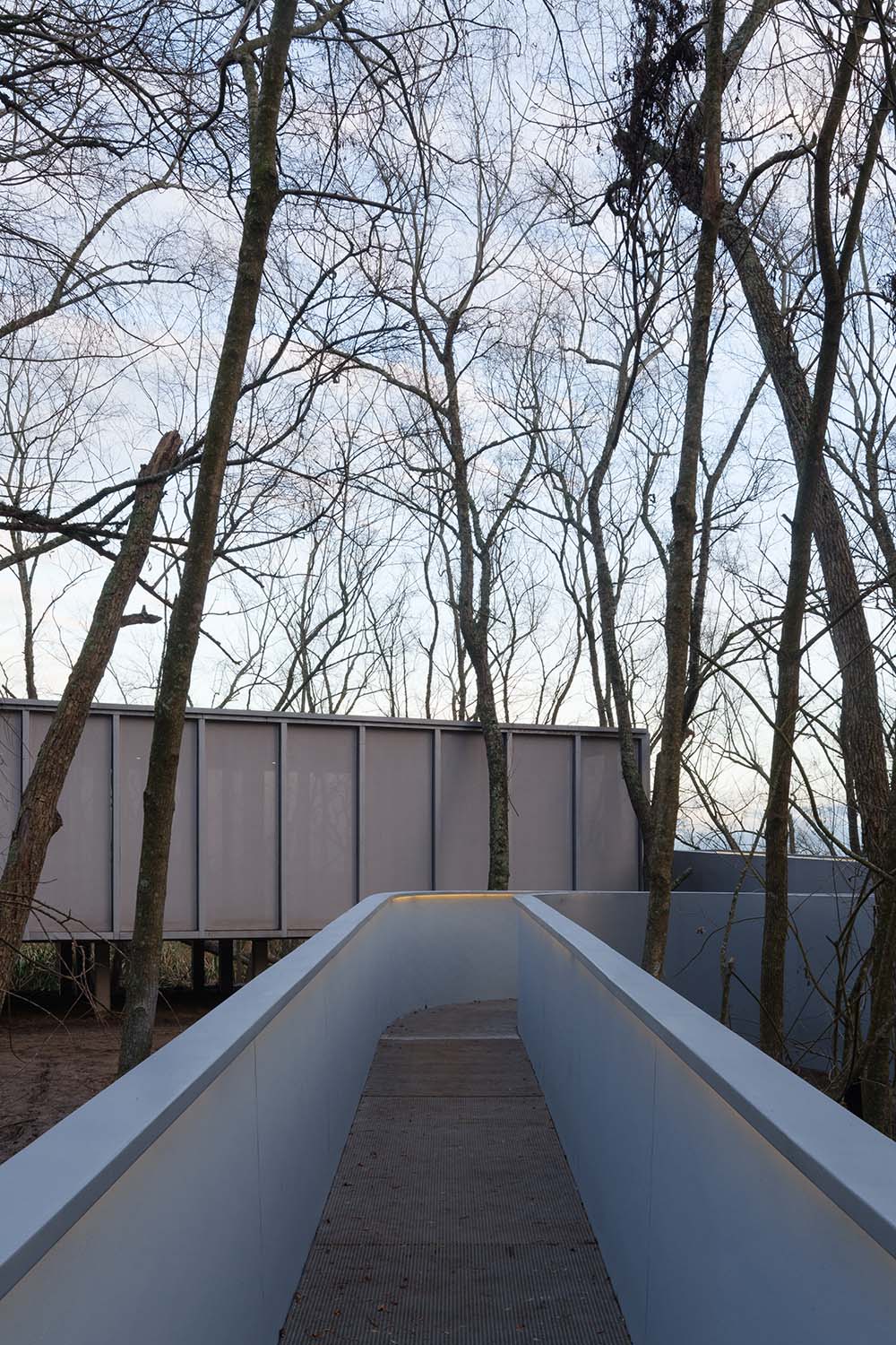 CA_006_FOLIE_HORIZONTA_03