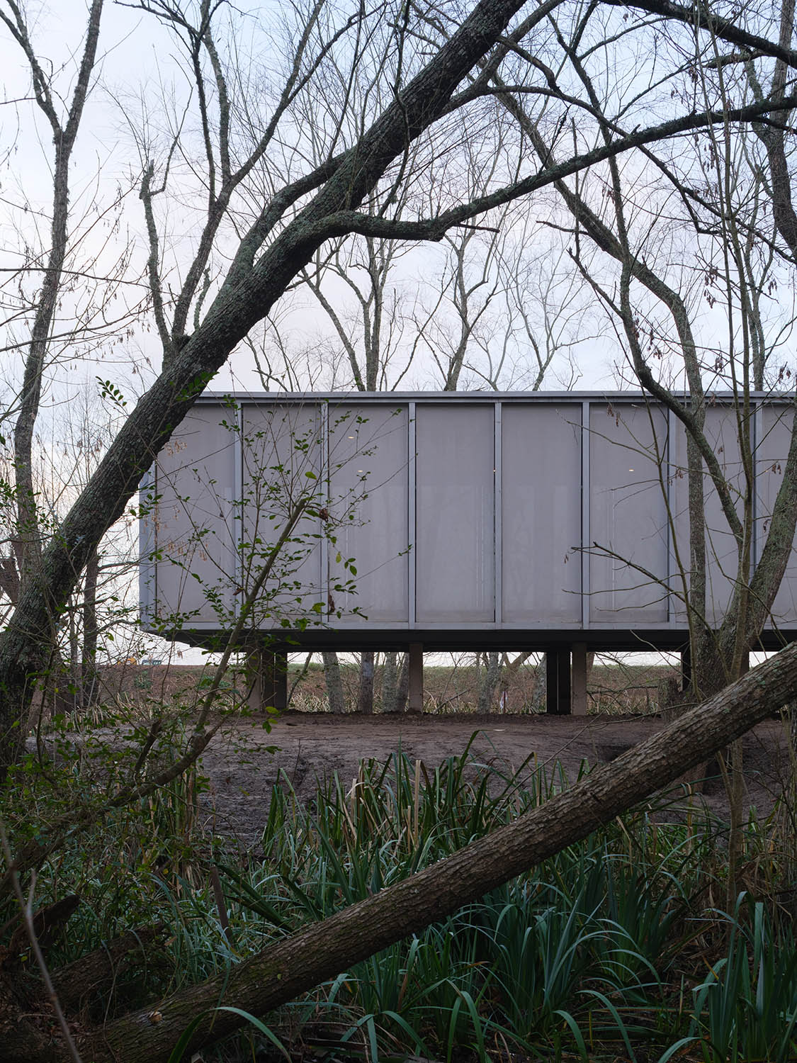 CA_006_FOLIE_HORIZONTA_06